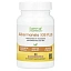 Super Nutrition, Akkermansia 30B PLUS, пастеризованная аккермансия (A. Muciniphila), с берберином и олеилэтаноламином, 60 растительных капсул
