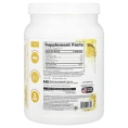 NutraBio, Performance, прозрачный протеин, ананас, 499 г (1,1 фунта)