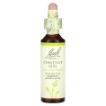 Bach, Original Flower Remedies, каштановые бутоны, 20 мл (0,7 жидк. унц.)
