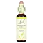 Bach, Original Flower Remedies, каштановые бутоны, 20 мл (0,7 жидк. унц.)
