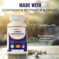 Vitamatic, стабильная аккермансия, 30 растительных капсул