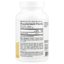 Super Nutrition, Агматин сульфат, 750 мг, 120 растительных капсул