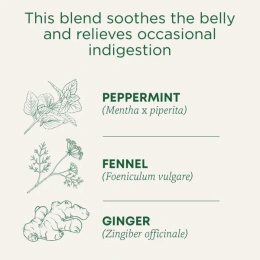 Traditional Medicinals, Organic Belly Comfort, перечная мята, без кофеина, 16 чайных пакетиков в упаковке, 28 г (0,99 унции)