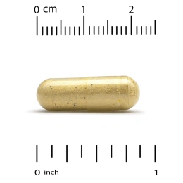 Super Nutrition, Akkermansia 30B PLUS, пастеризованная аккермансия (A. Muciniphila), с берберином и олеилэтаноламином, 60 растительных капсул