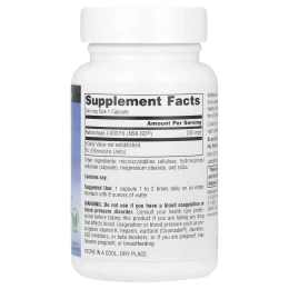 Source Naturals, NSK-SD®, наттокиназа, 200 мг, 60 веганских капсул