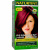 Naturtint, Стойкая краска для волос, 5M, светлый махагони-каштан, 5,28 жидких унций (150 мл)