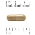 Vitacost, Everyday, экстракт родиолы розовой, 120 капсул (350 мг в капсуле)
