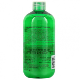 Yes To, Успокаивающий тоник, огурцы, 355 мл (12 жидк. Унций)