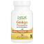 Super Nutrition, Ginkgo Phytosome, фитосомы гинкго, 360 мг, 60 растительных капсул