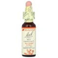 Bach, Original Flower Remedies, экстракт красного каштана, 10 мл (0,35 жидк. унции)