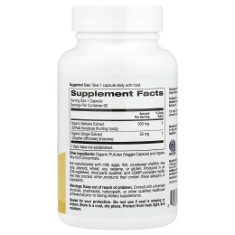 Super Nutrition, органический гриб-баран с имбирём, 60 вегетарианских капсул