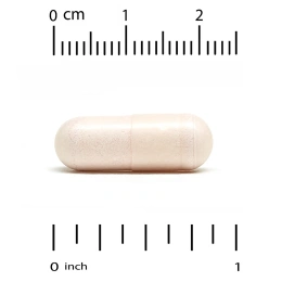 Lake Avenue Nutrition, пробиотики, смесь 10 штаммов, 25 млрд КОЕ, 180 растительных капсул