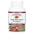 Natural Factors, Экстракт виноградной косточки, 95% полифенолов, 100 мг, 60 растительных капсул