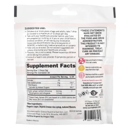 Tummydrops, органический имбирь в форме специй, 33 пастилки