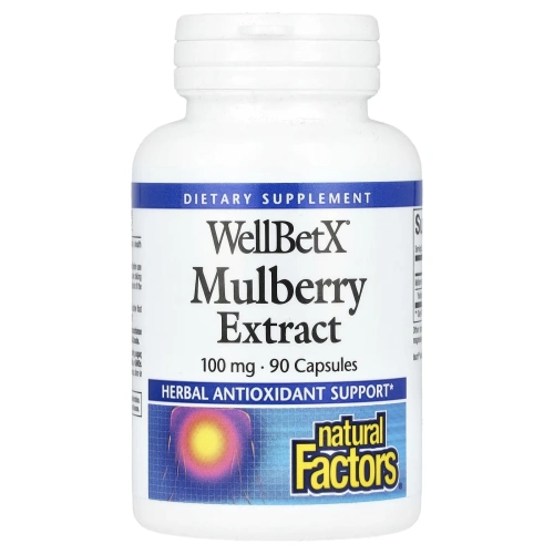 Natural Factors, WellBetX, мультиягодный экстракт, 100 мг, 90 капсул