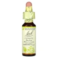 Bach, Original Flower Remedies, клематис, 10 мл (0,35 жидк. унции)