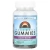 Source Naturals, Wellness Gummies, бузина, 60 жевательных таблеток