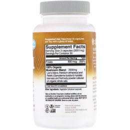 Organic Mushroom Nutrition, Топливо для мозга, на основе ежовика гребенчатого+ фолата, 667 мг, 90 вегетарианских капсул