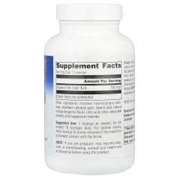 Planetary Herbals, Пастилки с вязом ржавым, мандариновый аромат, 150 мг, 200 пастилок