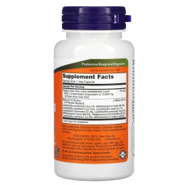 Now Foods, Алоэ 10 000 & пробиотики, 60 вегетарианских капсул