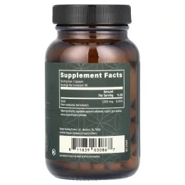 Global Healing, растительный биотин, 2500 мкг, 60 капсул