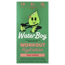Waterboy, Workout Hydration, смесь для приготовления электролитического напитка, со вкусом фруктового пунша, 10 пакетиков-стиков по 6,5 г (0,23 унции)