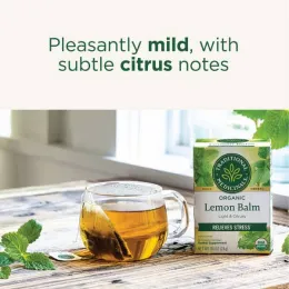 Traditional Medicinals, органическая мелисса, без кофеина, 16 чайных пакетиков, 24 г, (0,85 унции)