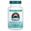 Source Naturals, Wellness Herbal Resistance Liquid, 120 жидких капсул