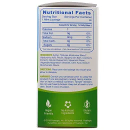 Hyalogic, Гиалуроновая кислота от сухости во рту, HylaMints, 60 мятных пастилок