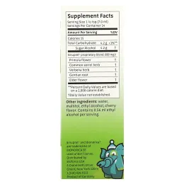 Bionorica, Детский сироп Sinupret, 3,38 жидких унций (100 мл)