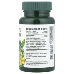 Banyan Botanicals, Men's Support™, 90 таблеток