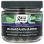 Gaia Herbs, Корень ашваганды, 180 веганских жидких фито-капсул