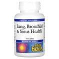 Natural Factors, Lung, Bronchial & Sinus Health, 45 таблеток