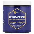 Natural Stacks, Cordyceps +, 60 веганских капсул