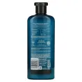 Herbal Essences, Argan Oil Repair Shampoo, 13.5 fl oz (400 ml)