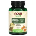 Now Foods, Здоровье иммунной системы собак/кошек, 90 жевательных таблеток