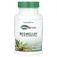 NaturesPlus, Herbal Actives, Boswellin®, 300 мг, 60 капсул