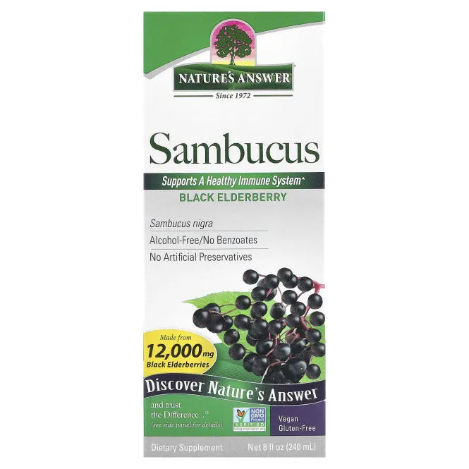 Nature's Answer, Sambucus, черная бузина, 12000 мг, 240 мл (8 жидк. унц.)