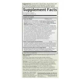 Garden of Life, Сырые пробиотики, для здоровья кишечника, 30 капсул на растительной основе (Ice)