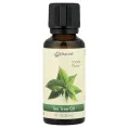 Vitacost, 100% чистое масло чайного дерева, 30 мл (1 жидк. унция)