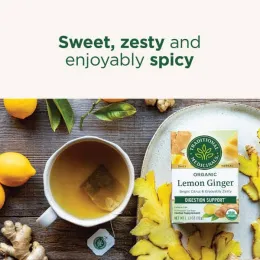 Traditional Medicinals, Herbal Teas, органический лимонный имбирь, без кофеина, 16 чайных пакетиков, 32 г (1,13 унции)