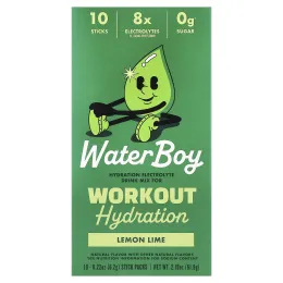 Waterboy, Workout Hydration, смесь для приготовления электролитического напитка, лимон и лайм, 10 пакетиков-стиков по 6,2 г (0,22 унции)