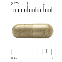 Super Nutrition, органический гриб шиитаке, имбирь, органический пуллулан и концентрат органической рисовой шелухи, 60 вегетарианских капсул