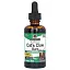 Nature's Answer, Кошачий коготь, без спирта, 1,000 мг, 60 мл (2 fl oz)