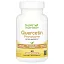 Super Nutrition, Quercetin Phytosome Quercefit®, фитосомы кверцетина, 250 мг, 60 растительных капсул