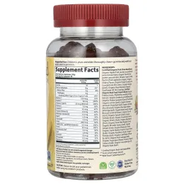 Garden of Life, Mykind Organics, Kids Multi, вишневый ароматизатор органического происхождения, 120 желейных фигурок медведей