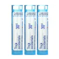 Boiron, Туя западная 30С, 3 тубы по 80 гранул