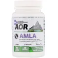 Advanced Orthomolecular Research AOR, AMLA, 90 Vegan Capsules