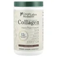 Great Lakes Wellness, Пептиды бычьего коллагена от травяного откорма, шоколад, 284 г (10 унций)