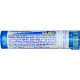 Boiron, Single Remedies, Элементарный углерод, 6 C, прибл. 80 гранул